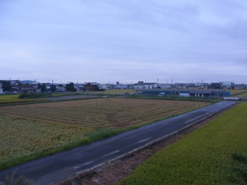 b0194267_19544695.jpg