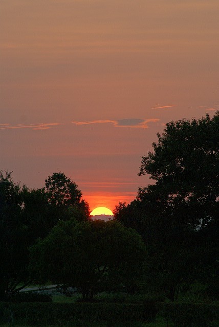 b0198768_11956.jpg