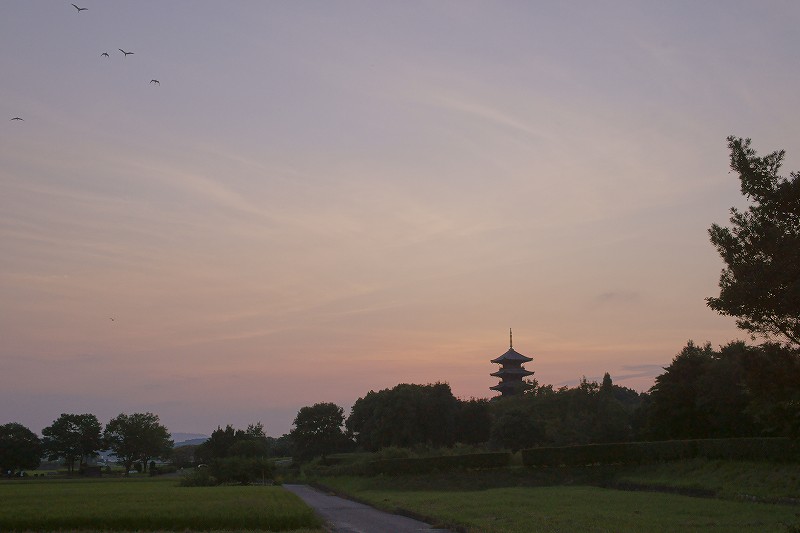 b0198768_1222385.jpg