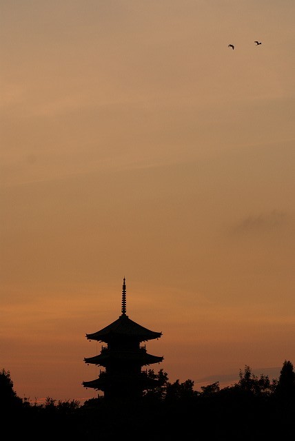 b0198768_1334956.jpg
