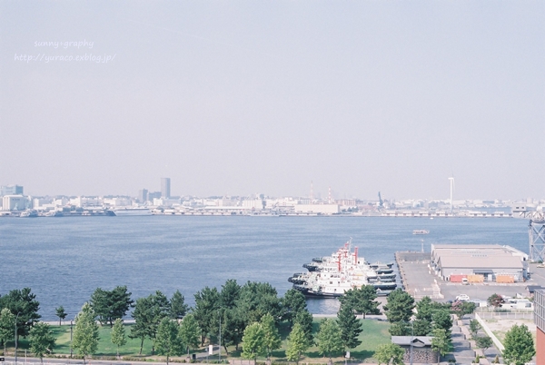 b0140877_15354672.jpg