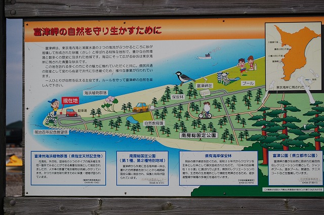 d0050290_074155.jpg