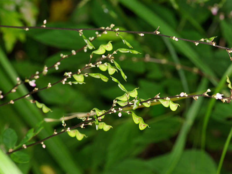 f0204094_8441339.jpg
