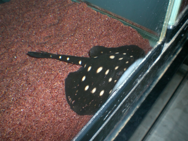 e0143096_14364930.jpg
