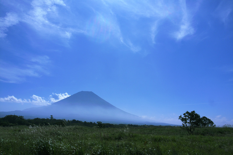 c0005102_16144616.jpg