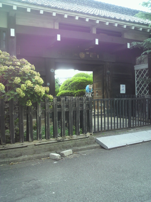 e0031605_22505830.jpg