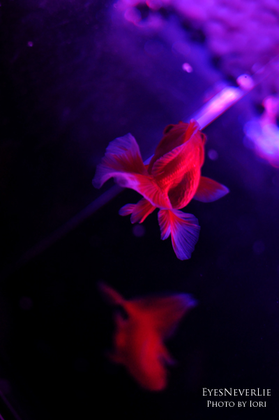 b0185308_1521379.jpg