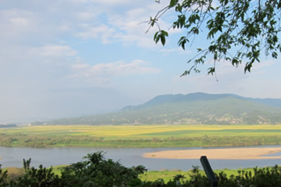 a0153913_23595981.jpg