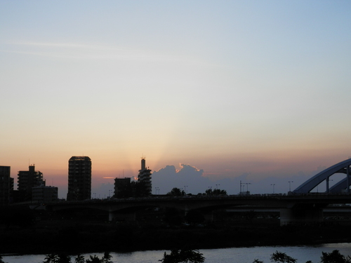 死んでたすずめちゃん、夕焼けでお見送り_c0145920_18373242.jpg