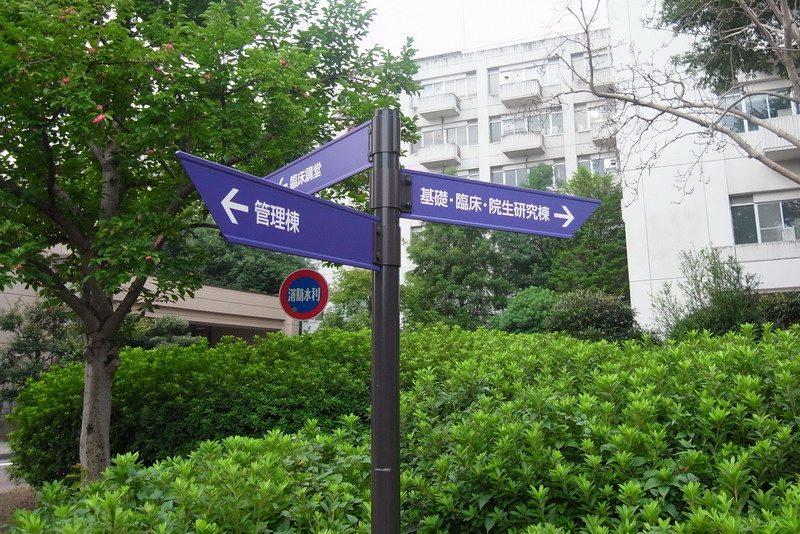 d0090322_239265.jpg