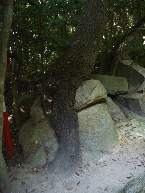 パワースポット 越木岩神社_b0054727_21201648.jpg