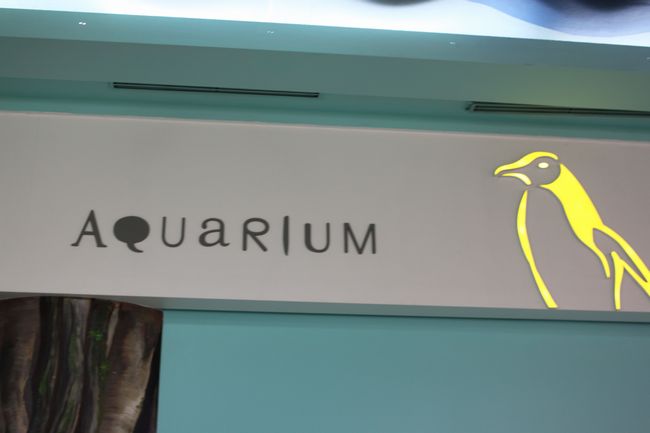 韓国旅行その14　「COEX水族館＆神仙ソルロンタン」_d0148729_17493668.jpg