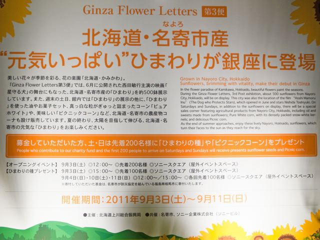 銀座ソニービルGinza Flower Letters 第3便 北海道名寄市産元気いっぱいひまわり_a0016730_23134124.jpg