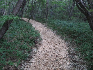 e0202031_237374.jpg