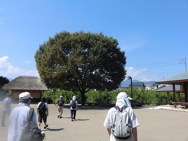 a0006033_1928221.jpg