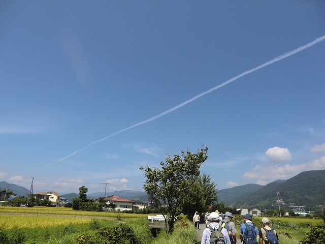 a0006033_19282937.jpg
