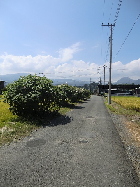a0006033_1928552.jpg