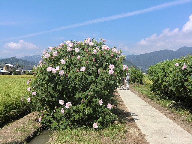 a0006033_1929262.jpg