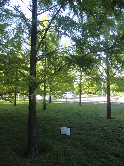 a0006033_19301412.jpg
