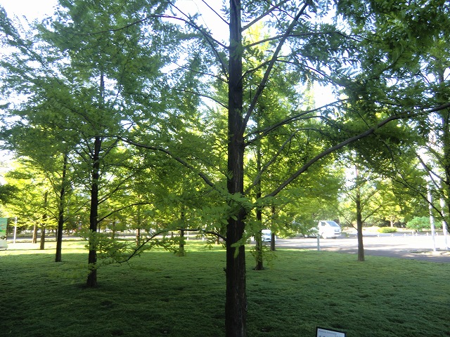 a0006033_19302383.jpg