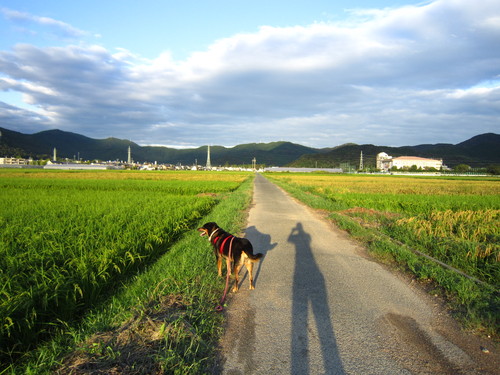a0240233_1528490.jpg