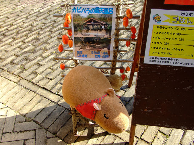 長崎からの刺客_a0179837_1645616.jpg