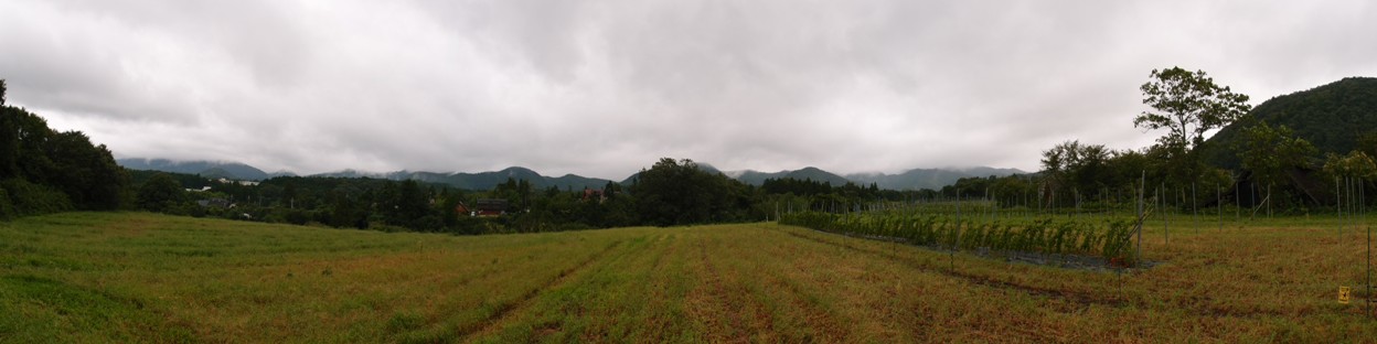 b0206537_2154182.jpg