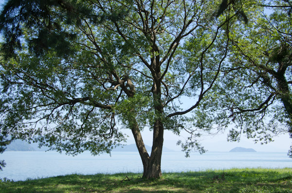 f0032137_1114872.jpg