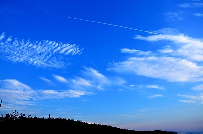 e0055138_324131.jpg