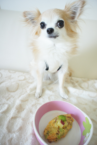 納豆食べた！_e0168447_20362525.jpg