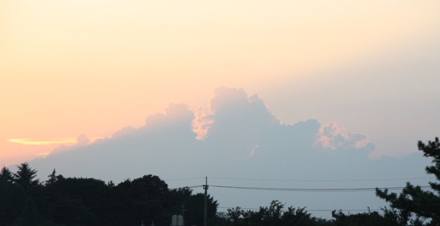 今日の雲・花・犬_e0117950_22391535.jpg