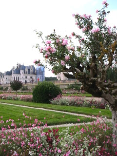 Chenonceau_f0145356_1755815.jpg