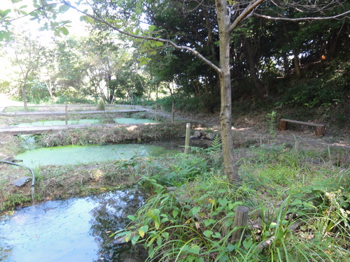 c0108460_16483568.jpg