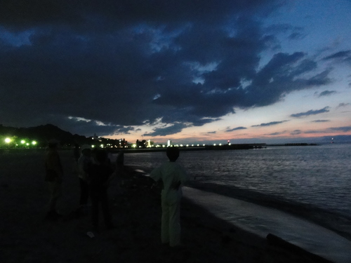 「ウミホタル観察会」リハーサル　in　せんなん里海公園_c0108460_22474140.jpg