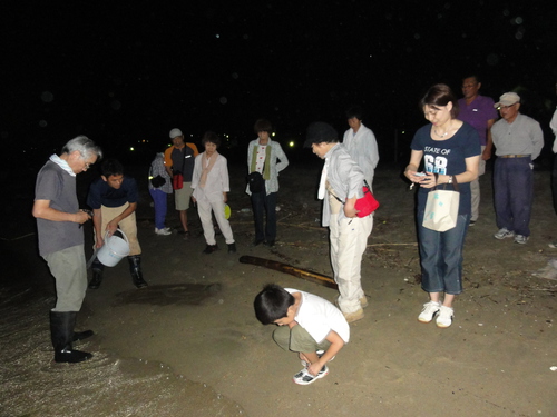 「ウミホタル観察会」リハーサル　in　せんなん里海公園_c0108460_22533591.jpg