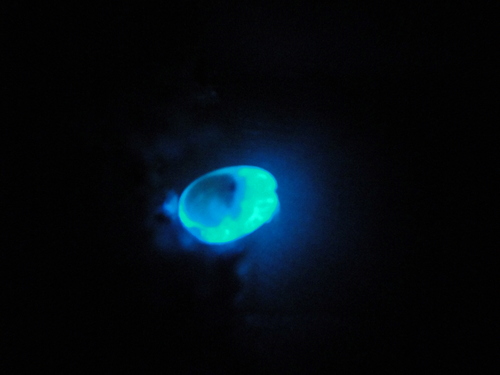 c0108460_2254066.jpg