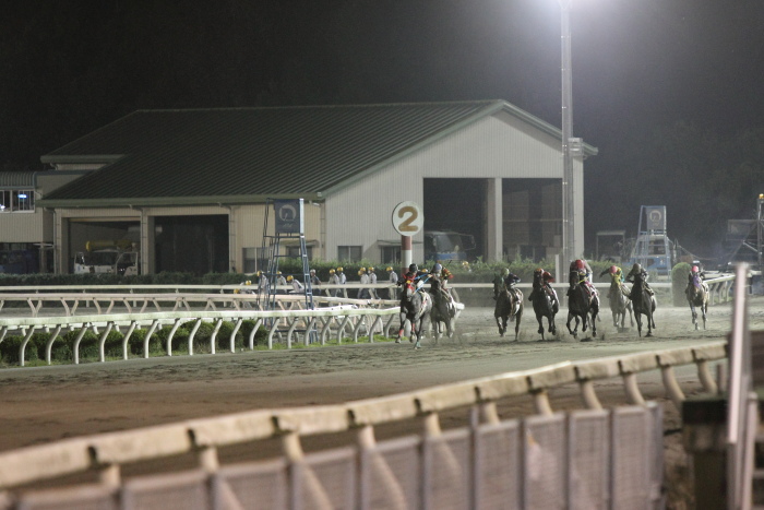 2011年9月10日（土） 高知競馬 10R 土佐清水さば特別 B-1選抜馬_a0077663_230112.jpg