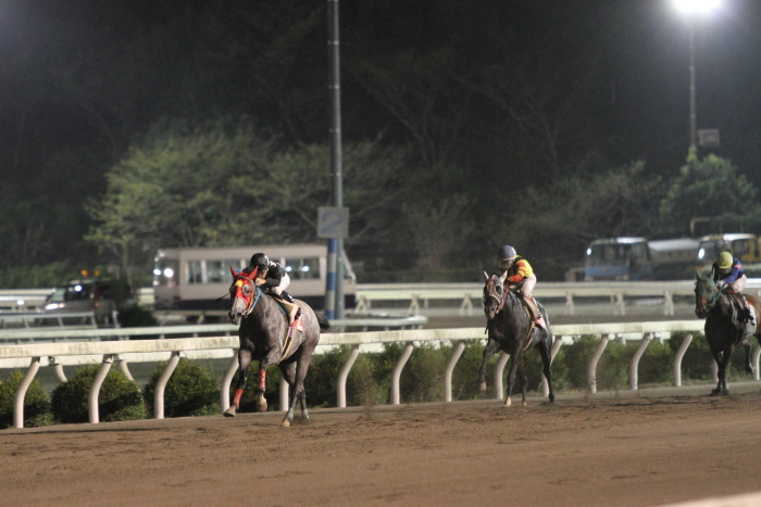 2011年9月10日（土） 高知競馬 10R 土佐清水さば特別 B-1選抜馬_a0077663_2301841.jpg