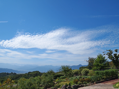 秋の空 part2_a0224382_2294796.jpg