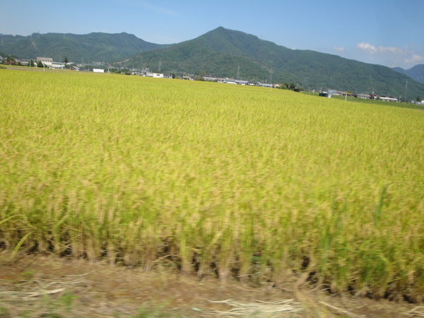 9/10　青木村ケーキサイクリング30kmに行って来ました。_b0217782_18225394.jpg