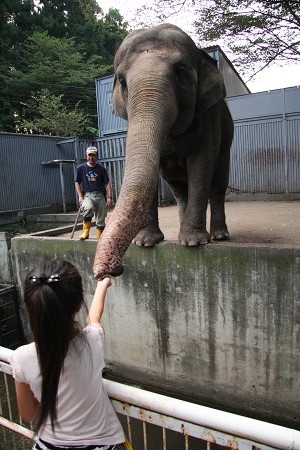 宇都宮動物園_f0222587_23223416.jpg