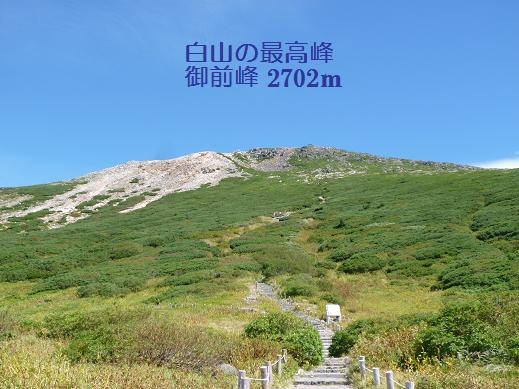 d0182188_040724.jpg