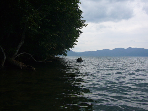 a0118989_2122099.jpg