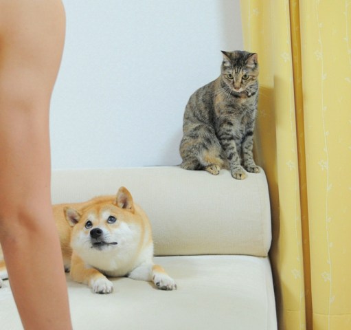 たまらんかぼちゃん_a0126590_633840.jpg