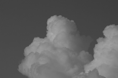 b0119493_23194529.jpg