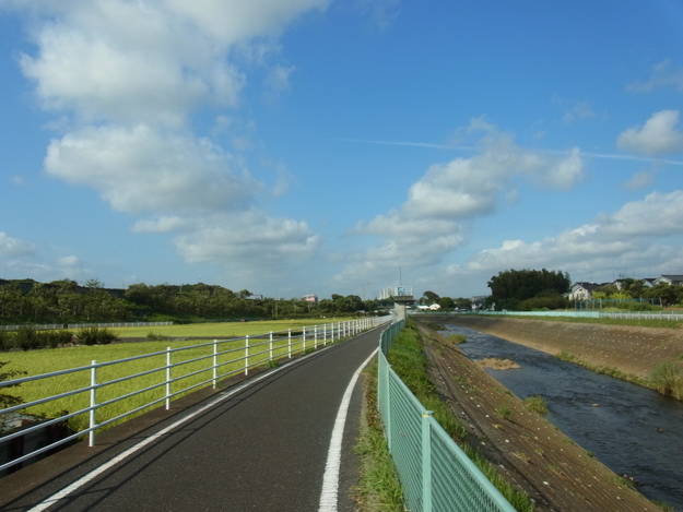 コーラ付き自転車_e0107493_1918448.jpg