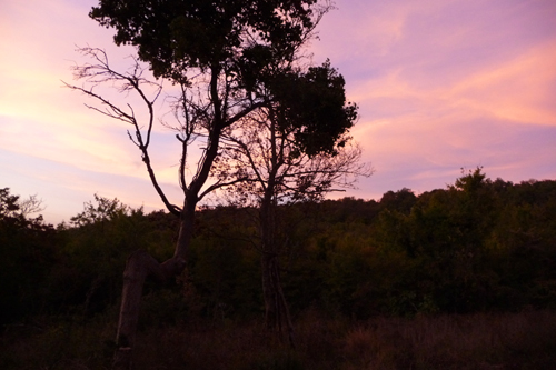 秋の夕暮れ_f0106597_230861.jpg