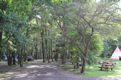 e0136998_11204276.jpg