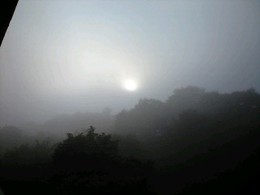 b0059000_18385960.jpg