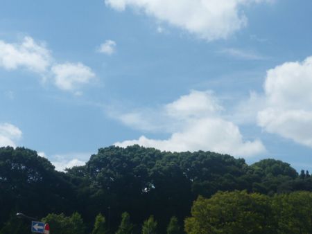 f0085501_16165125.jpg